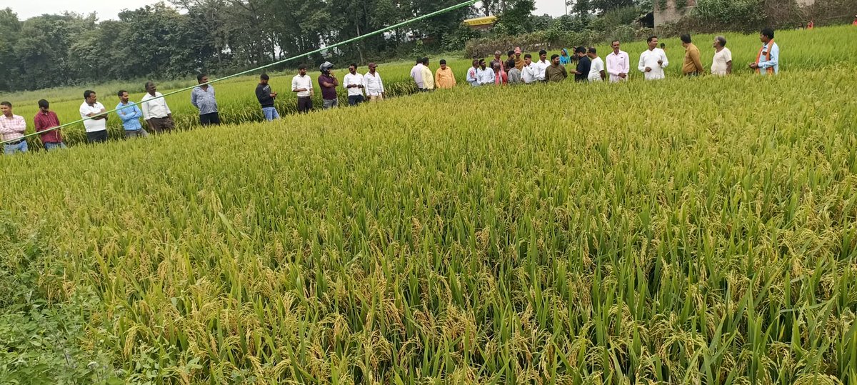 DeltaSeed's tweet photo. #समझदार_किसान_का_भरोसा 📷 https://t.co/YIPWT643IA