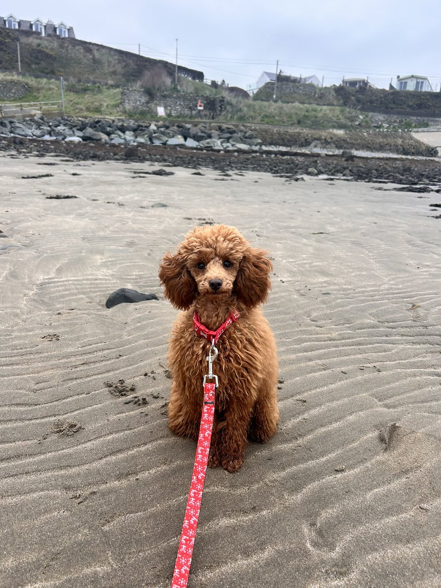 EmmaCallan19's tweet photo. GM https://t.co/MkHCzaAoyM