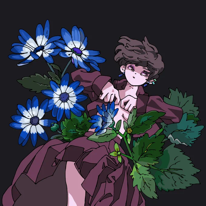 シネラリア 