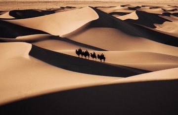 Оройн мэнд хүргэе