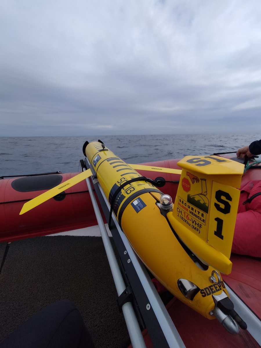 Marta Aloha tweet media