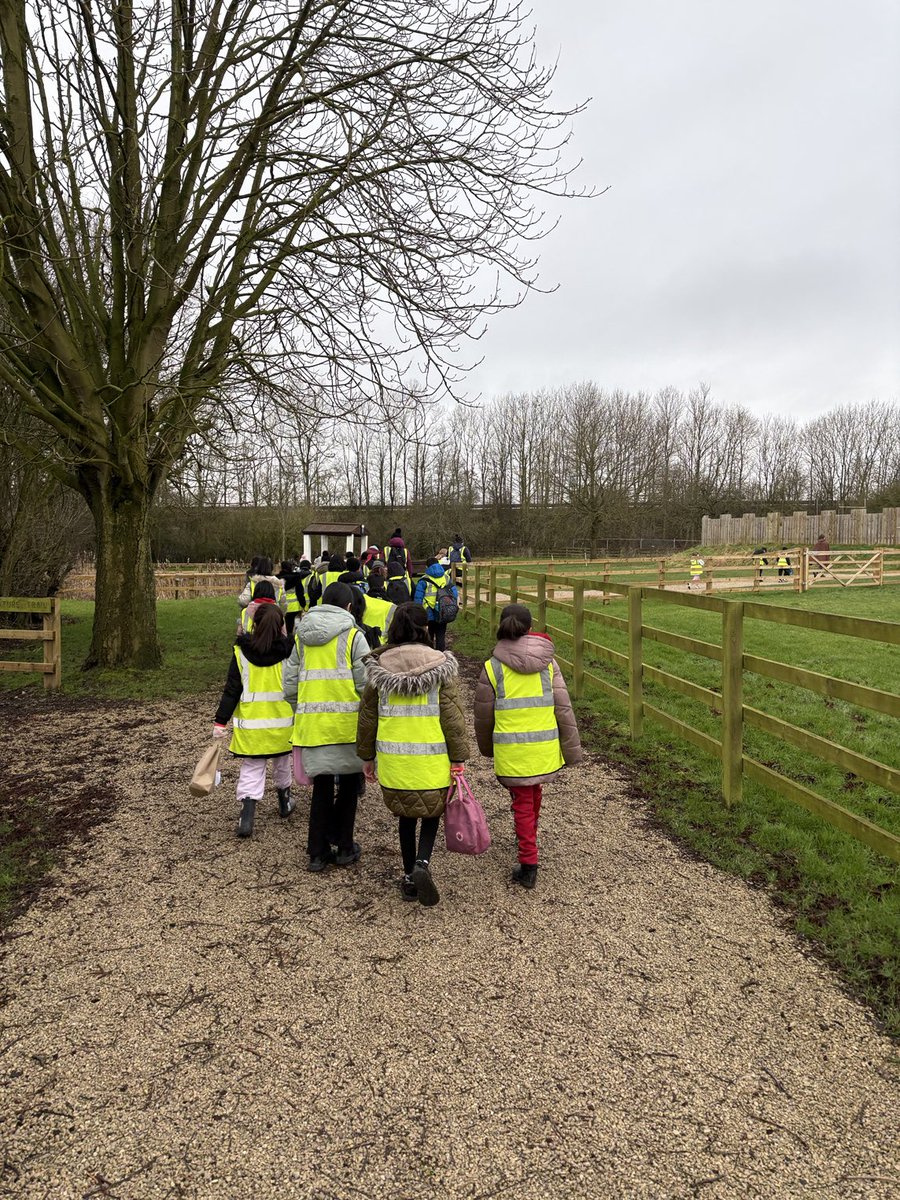 Victoria Primary School tweet media