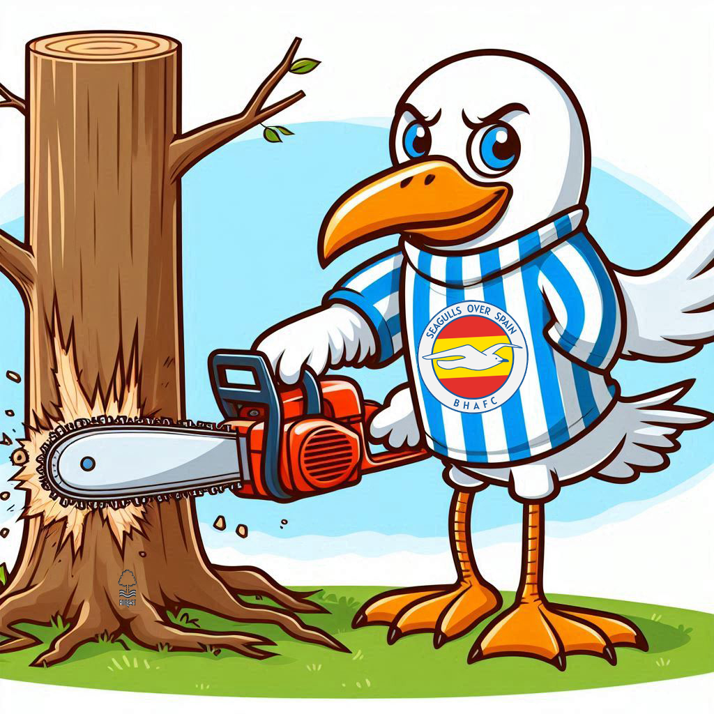 Seagulls Over Spain (@seagullsspain) on Twitter photo We'll be meeting up in Sheerin's Bar, Catral, to see if the #bouncebackability of #bhafc <a href="/OfficialBHAFC/">Brighton & Hove Albion</a> is better than that of Forest! <a href="/NFFC/">Nottingham Forest</a> Come and cheer the boys on with us if you are anywhere near #Alicante and the #CostaBlanca.
More details at: seagullsoverspain.wordpress.com/2025/01/28/nex… We'll be meeting up in Sheerin's Bar, Catral, to see if the #bouncebackability of #bhafc <a href="/OfficialBHAFC/">Brighton & Hove Albion</a> is better than that of Forest! <a href="/NFFC/">Nottingham Forest</a> Come and cheer the boys on with us if you are anywhere near #Alicante and the #CostaBlanca.
More details at: seagullsoverspain.wordpress.com/2025/01/28/nex…