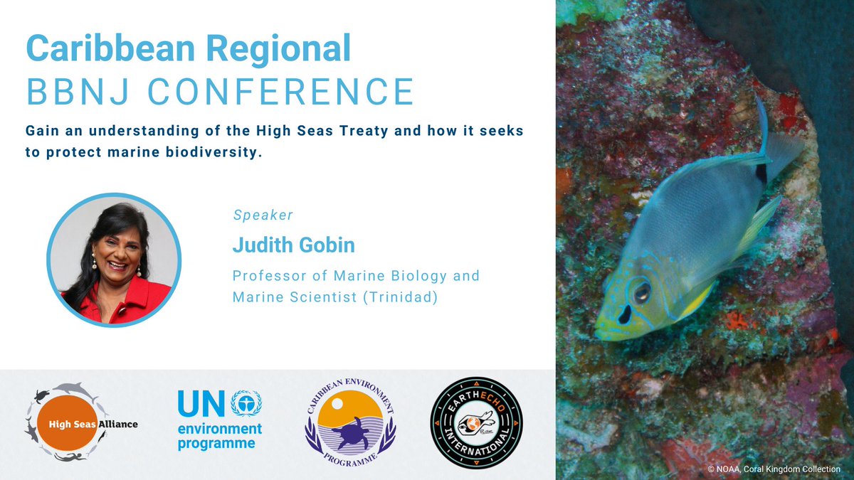 High Seas Alliance tweet media