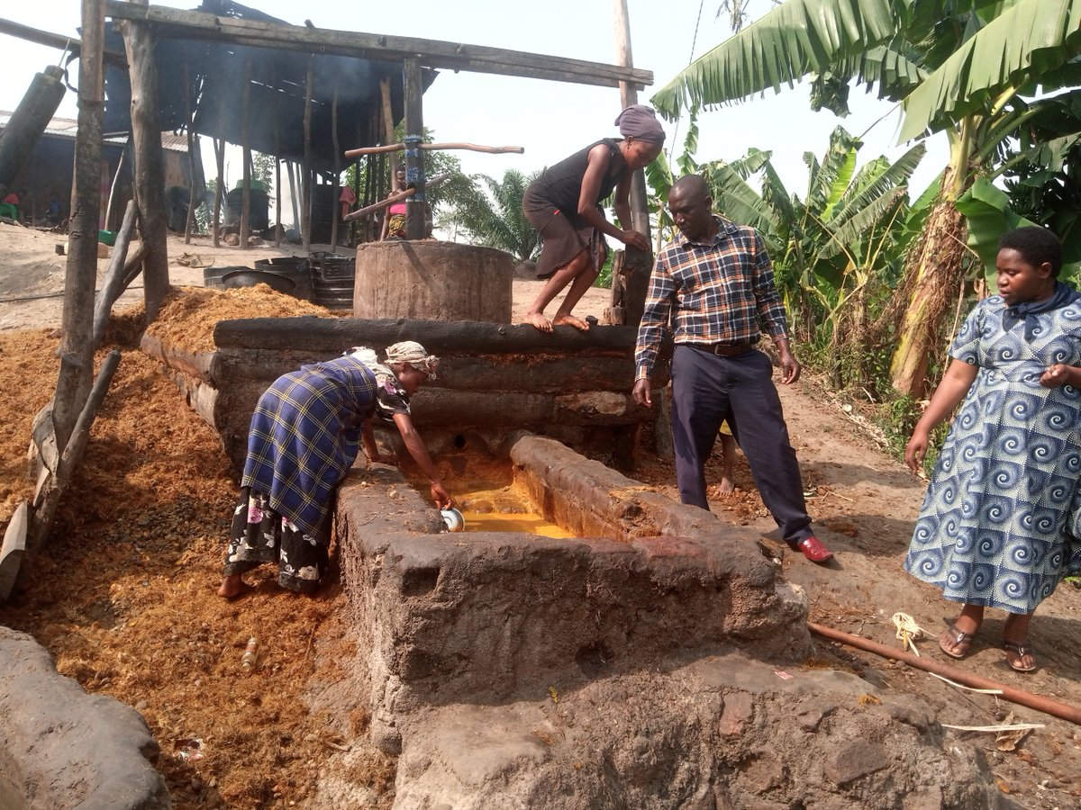 Bulhalho Foundation (@bulhalhofounda1) on Twitter photo 