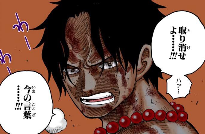 @koshi_lowell Hello. Thank you for always translating into English.

Don Quixote says, "coward?"
Sorry for the bad handwriting.
This is a parody of the work One Piece. 