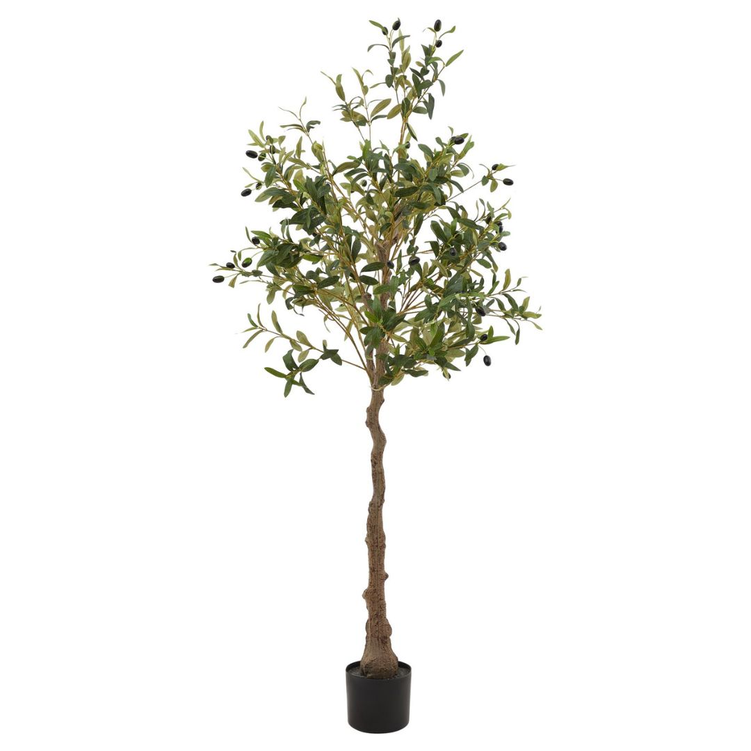 ClickStyleHome's tweet image. &quot;Great product exactly as described and pictured...&quot; Our artificial olive tree 🫒 is getting all the love—realistic, low-maintenance, and full of Mediterranean charm. No watering, no pruning, just timeless greenery! #ArtificialOliveTree #FauxPlantsUK clickstyle.co.uk/products/mediu…