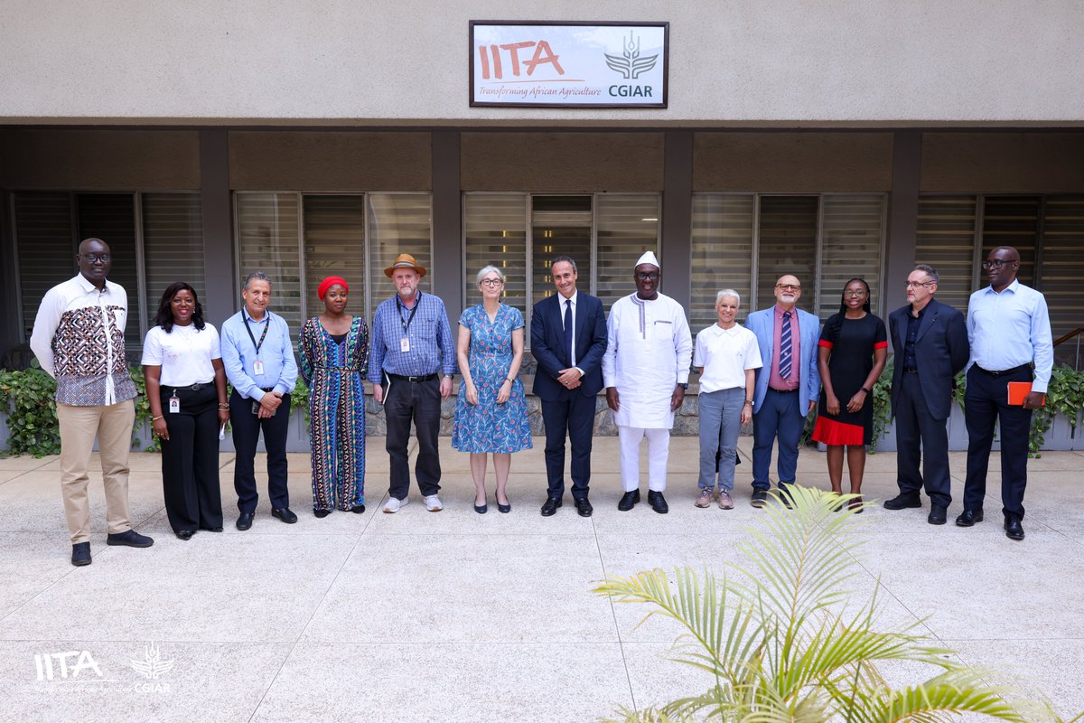 IITA tweet media