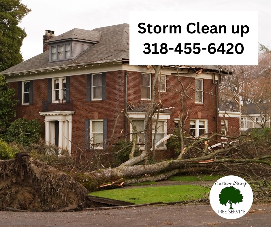 CustomStump's tweet photo. Those big limbs that have broken off but are still hanging on other limbs in the #Trees... ⚠ that's a problem in the next ⛈ storm. 

📲 Call us to take care of it before it's too late!. 

#Arborist #TreeGuy #CustomStumpTreeService 

Give us a call at ☎ (318) 455-6420! https://t.co/LSb9q1e9e2