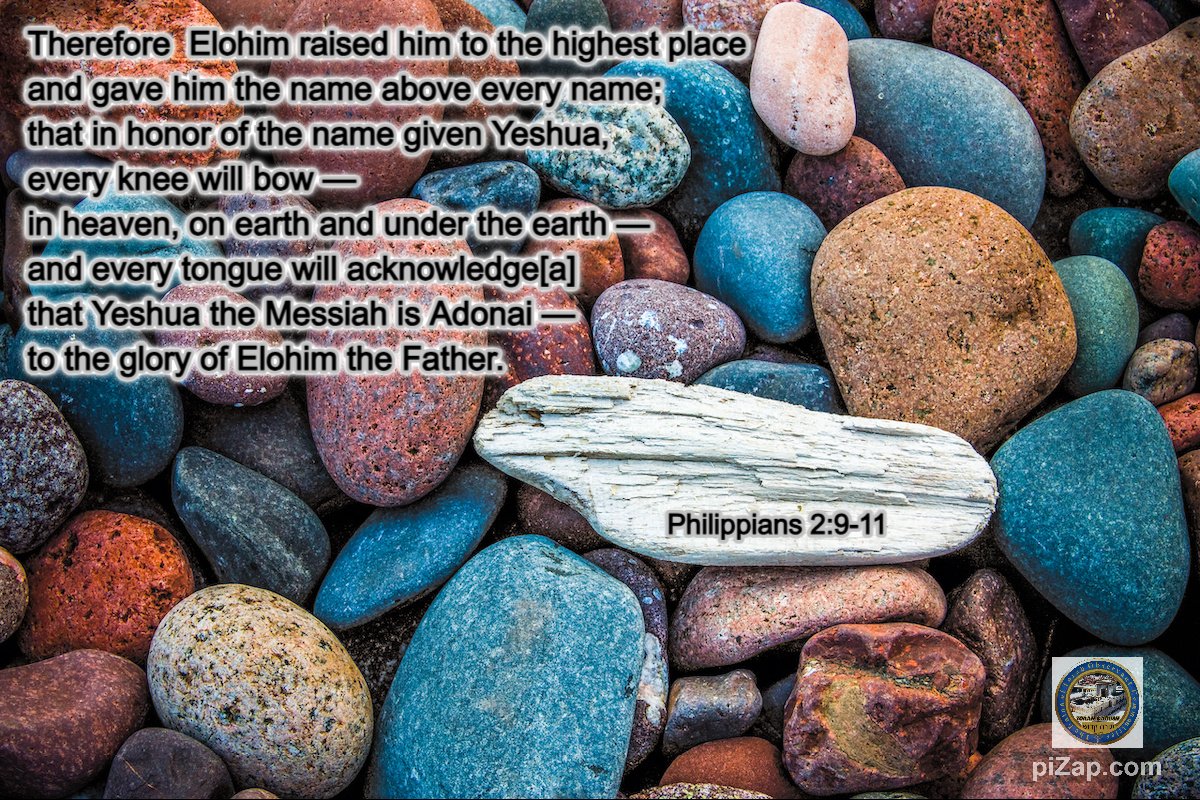Yes, the name above all names and worthy to be praised.📷📷📷📷