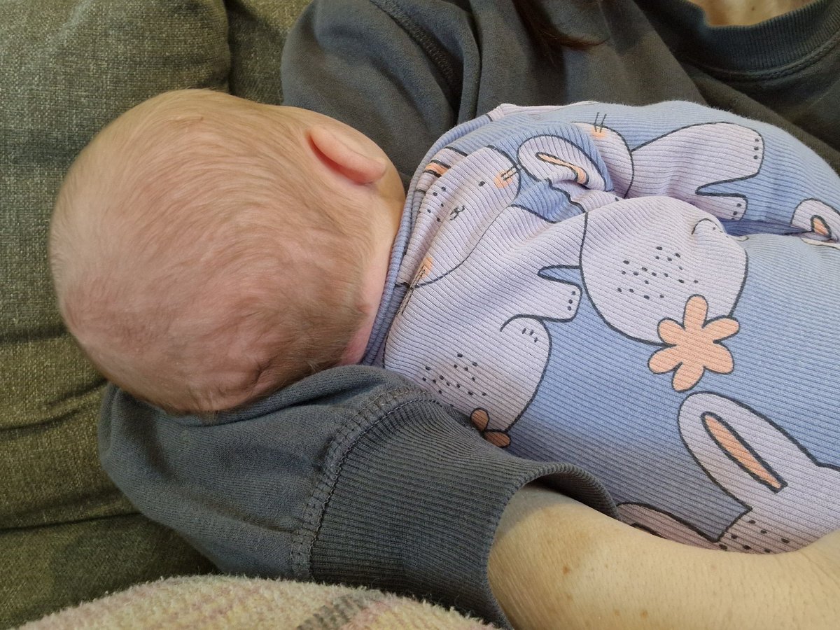 We've been a bit quiet as we've been busy welcoming our new pack member- 2 week old baby Wren. Martha is a brilliant big sister and we're obviously fantastic furry siblings too. 🥰🩷