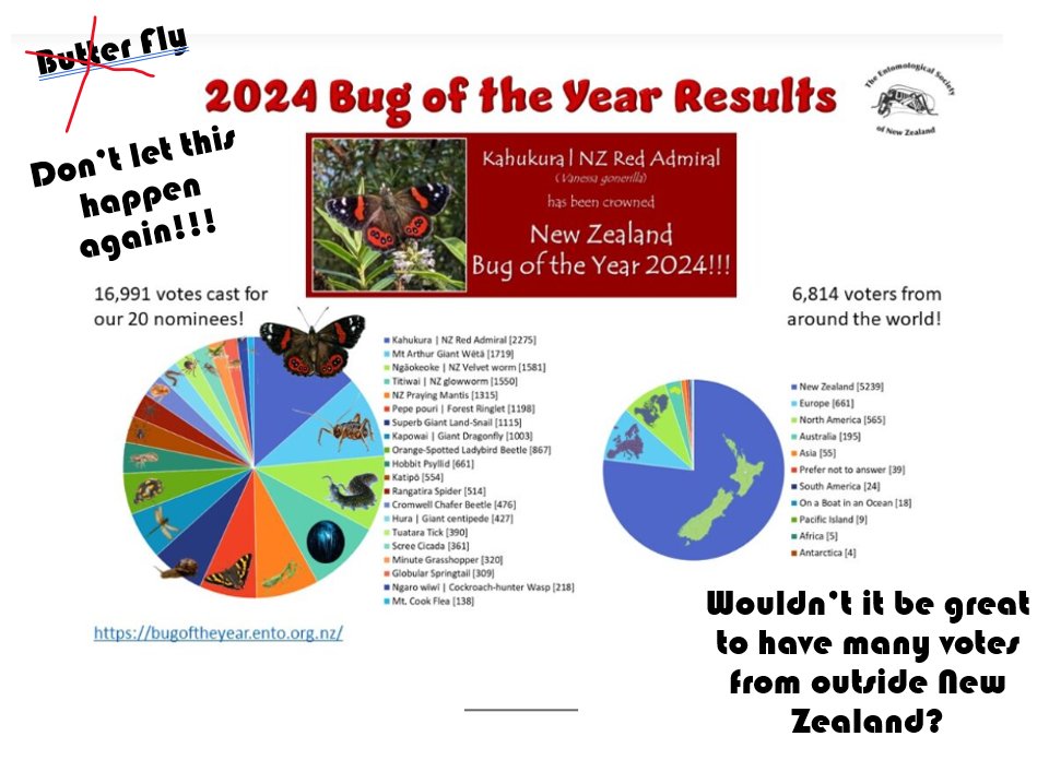 Dear #Diptera friends!!!

Voting is finally open for New Zealand’s #Bug of the Year: 

bugoftheyear.ento.org.nz/vote-here-2025/ 

---> we count on you to vote “FLY” 🦟 <---

 #Diptera #batfly #Mystacinobia zelandica #fliesarecooltoo #Mystacinobiidae #Oestroidea #Calyptrata
