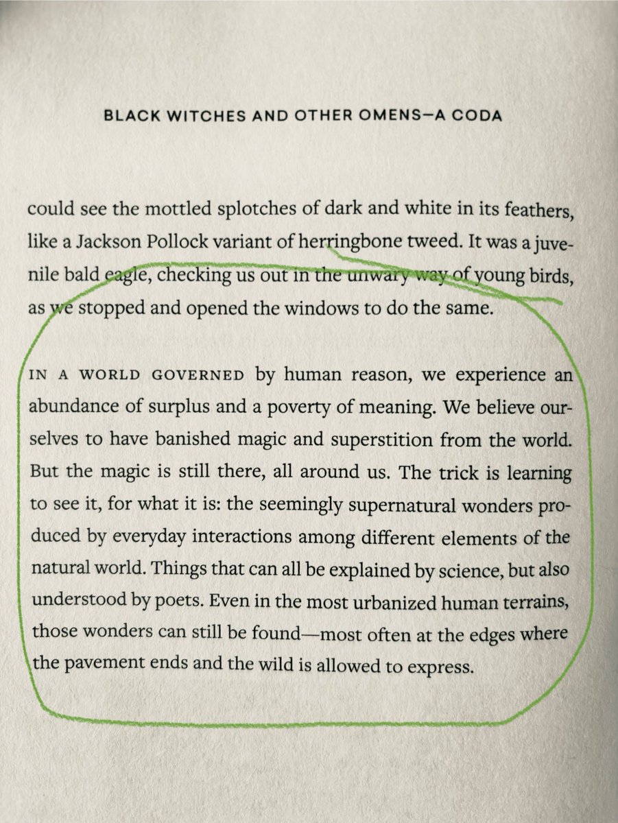 The final paragraph of Christopher Brown’s ‘A Natural History of Empty Lots’: “Things that can be explained by science, but also understood by poets”. More of this kind of thinking, please! A beautiful book.

#christopherbrown #nonfiction #environmentalwriting #poetry #science
