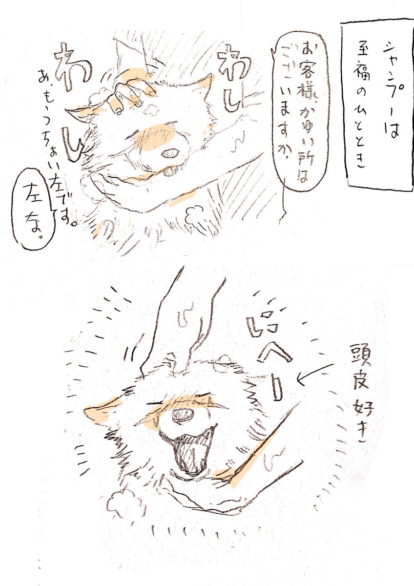似たようなやつ。 