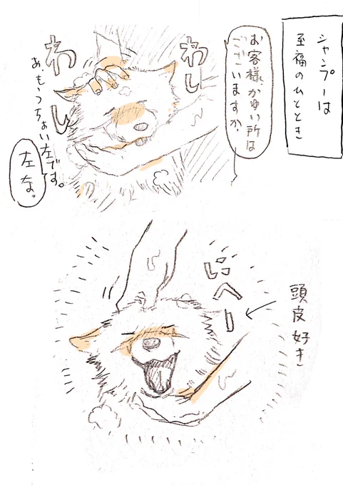 似たようなやつ。 