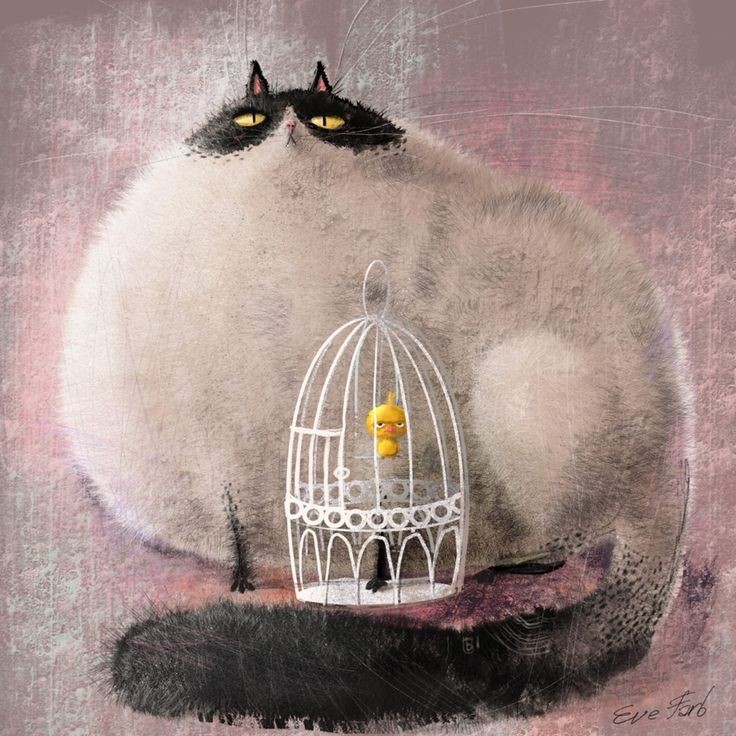 Мэдэхгүй зүйлээ өнгөц дүгнээд шүүмжлээд байх дургүй л дээ би ...