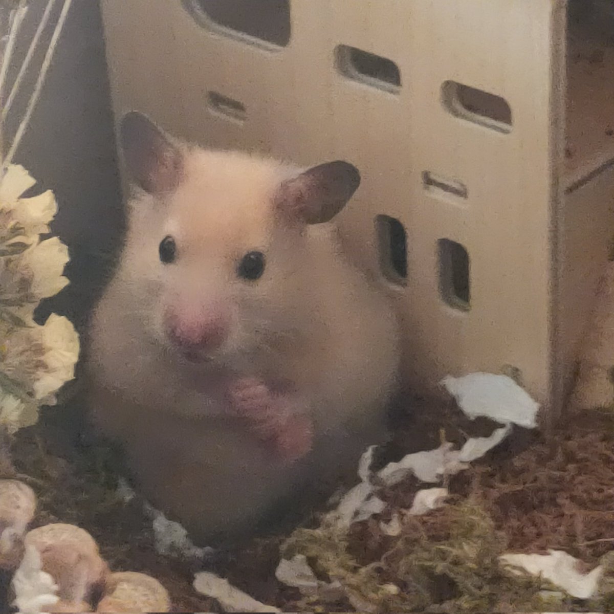 ทำไมนั่งแบบนั้น