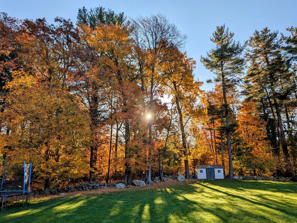 aka𝗙𝗼𝗹𝗲𝘆 💎💜 tweet media