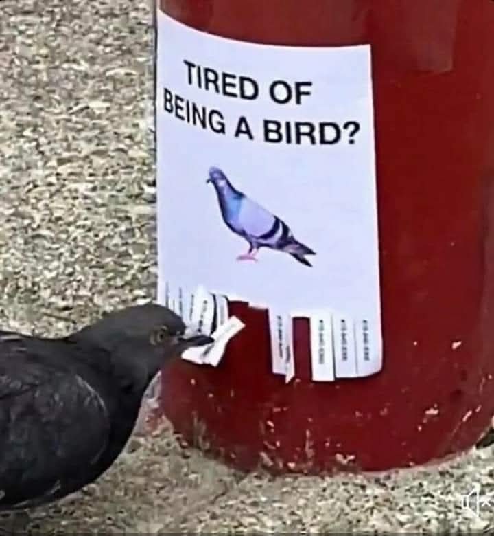 IrenaBuzarewicz's tweet image. 