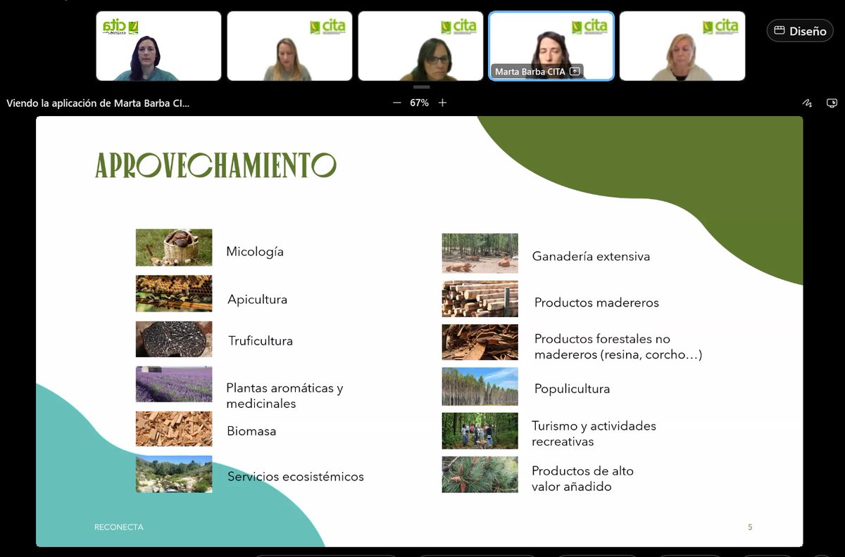 CITAAragon's tweet image. 💻 Esta mañana se ha celebrado el segundo webinar del proyecto #RECONECTA 🌳

🗣️ En esta ocasión, se han tratado temas como apicultura, setas y plantas aromáticas, bioproductos innovadores, de la mano de diferentes investigadoras del CITA

#NextGenerationEU #ProyectosPRTR