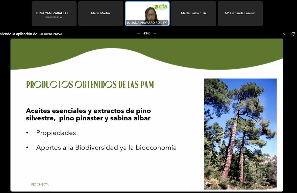 CITAAragon's tweet image. 💻 Esta mañana se ha celebrado el segundo webinar del proyecto #RECONECTA 🌳

🗣️ En esta ocasión, se han tratado temas como apicultura, setas y plantas aromáticas, bioproductos innovadores, de la mano de diferentes investigadoras del CITA

#NextGenerationEU #ProyectosPRTR