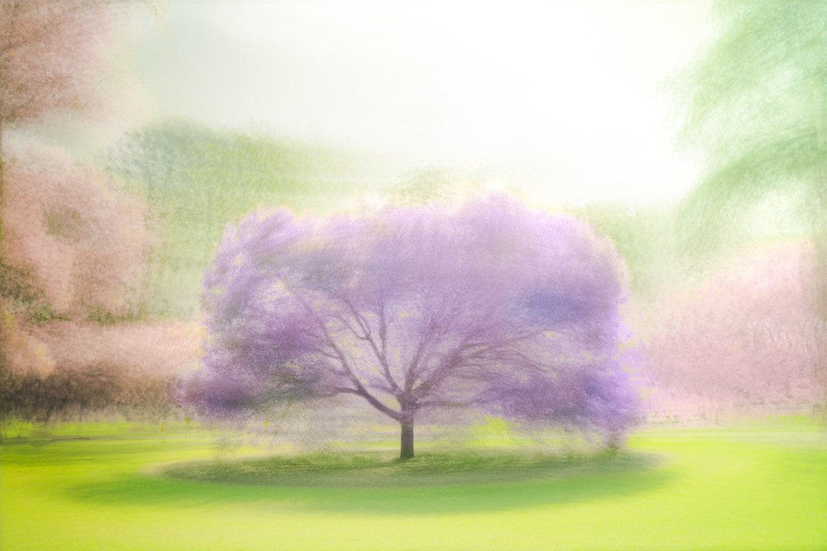 mainaito_art's tweet photo. Series of photographs I created inspired by a fairytale I imagined as a child.

I was deep in reverie, wandering through a garden abloom with subtle beauties in spring. The perfumed paradise that I wandered. Every flower has its own story to tell. https://t.co/Q8uA8pdUBg