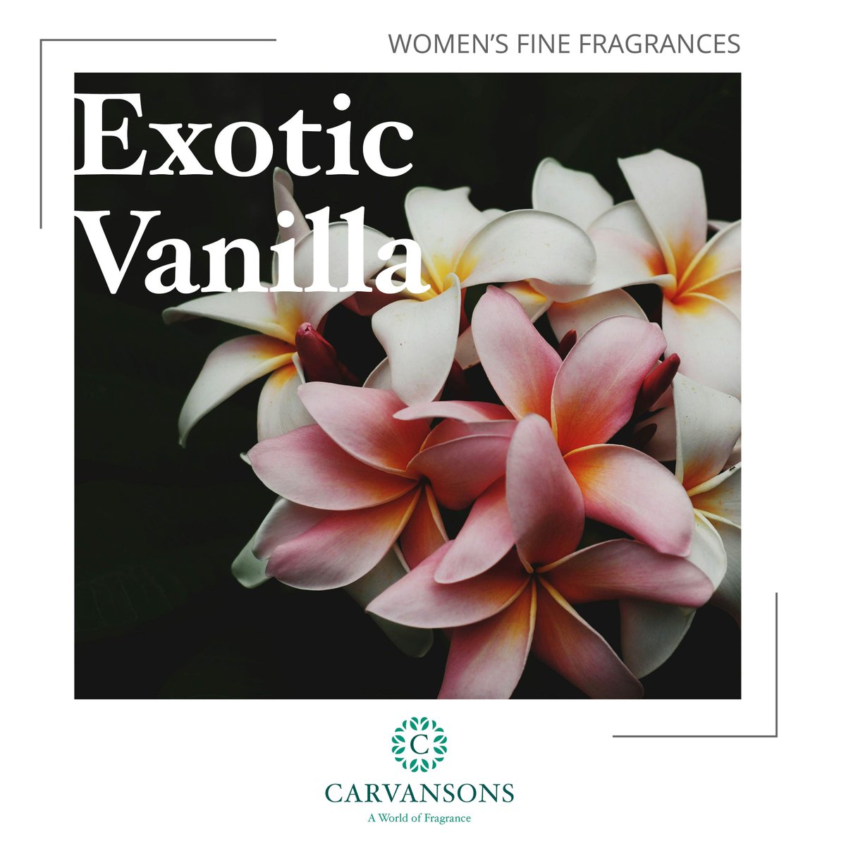 CarvansonsLtd's tweet photo. With Mother's Day approaching, we thought we would ask some of the team about some of their favourite female fragrances that we have created recently and why they love them. To read the full article click here ---> https://t.co/3QSg0E8s35 https://t.co/IrEJwkgP8h
