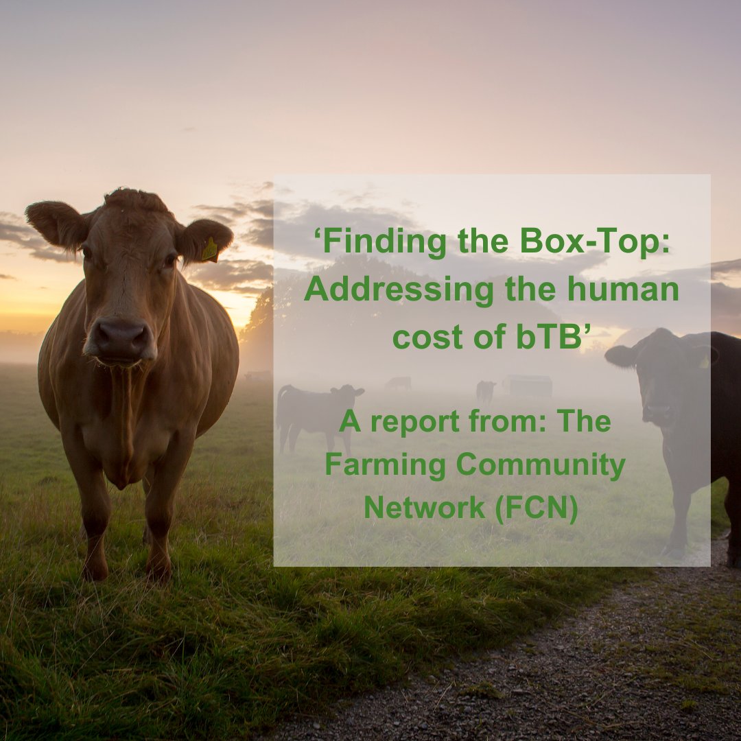 TB_Advisory's tweet photo. A new report commissioned by FCN follows a survey of over 450 UK farmers and highlights the impacts bovine tuberculosis (bTB) has on their health and wellbeing.

Download the report here: https://t.co/WAMdFidFY1 https://t.co/FokyrVBcVw
