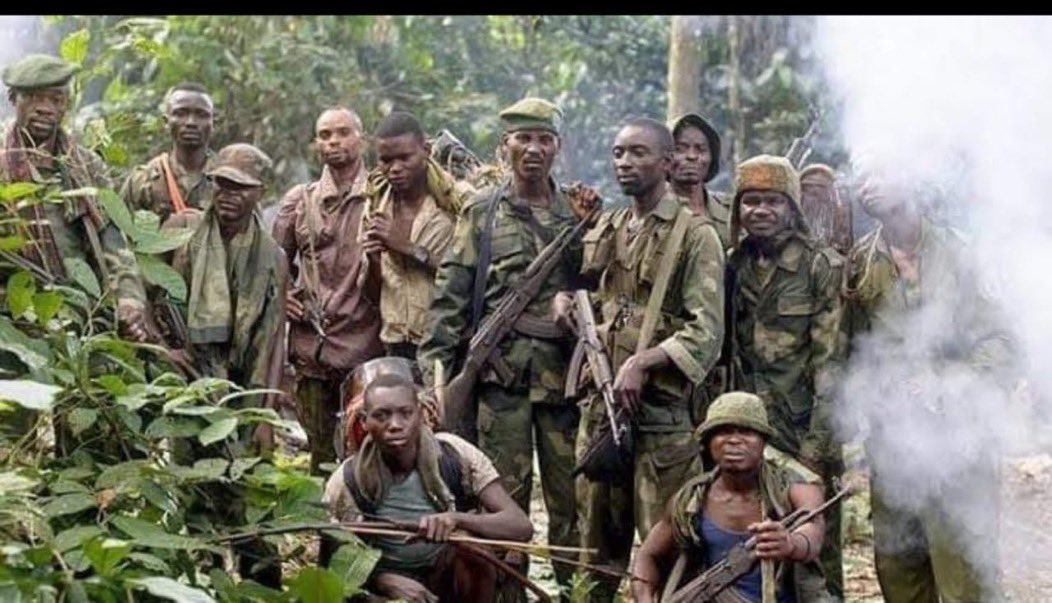 Tshisekedi protège les FDLR et facilite leur attaque contre le Rwanda, mettant en danger la vie de milliers de civils innocents.

#TshisekediFDLR #TshisekediAgainstPeace