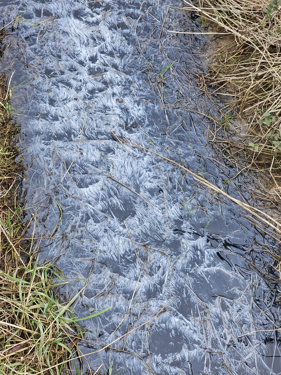 We hebben nog een lange weg te gaan voor proper water op deze manier. <a href="/jobrouns1/">Jo Brouns</a> die 2 jaar gaan dit niet oplossen.