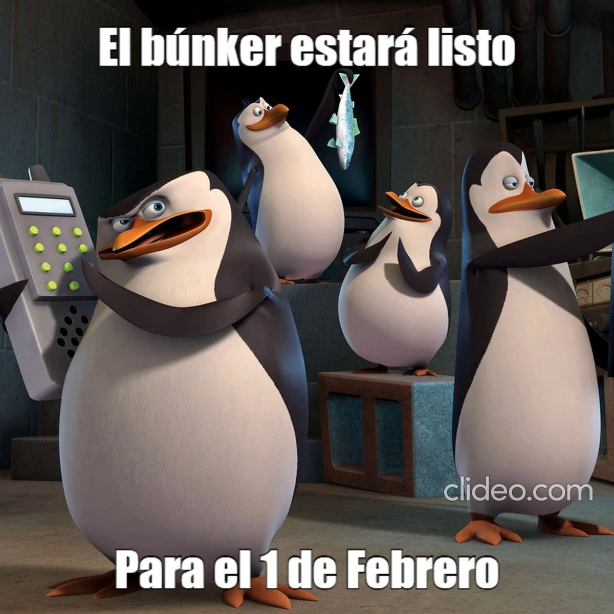 El 1 de febrero es el día que debes ingresar al búnker del <a href="/PinguinoDeMario/">El Pingüino De Mario</a> algo muy interesante esta por venir y no puedes quedarte fuera del búnker. #ElBúnkerDelPingüino