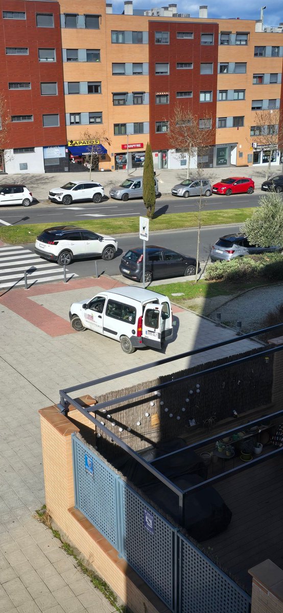 David T. tweet media