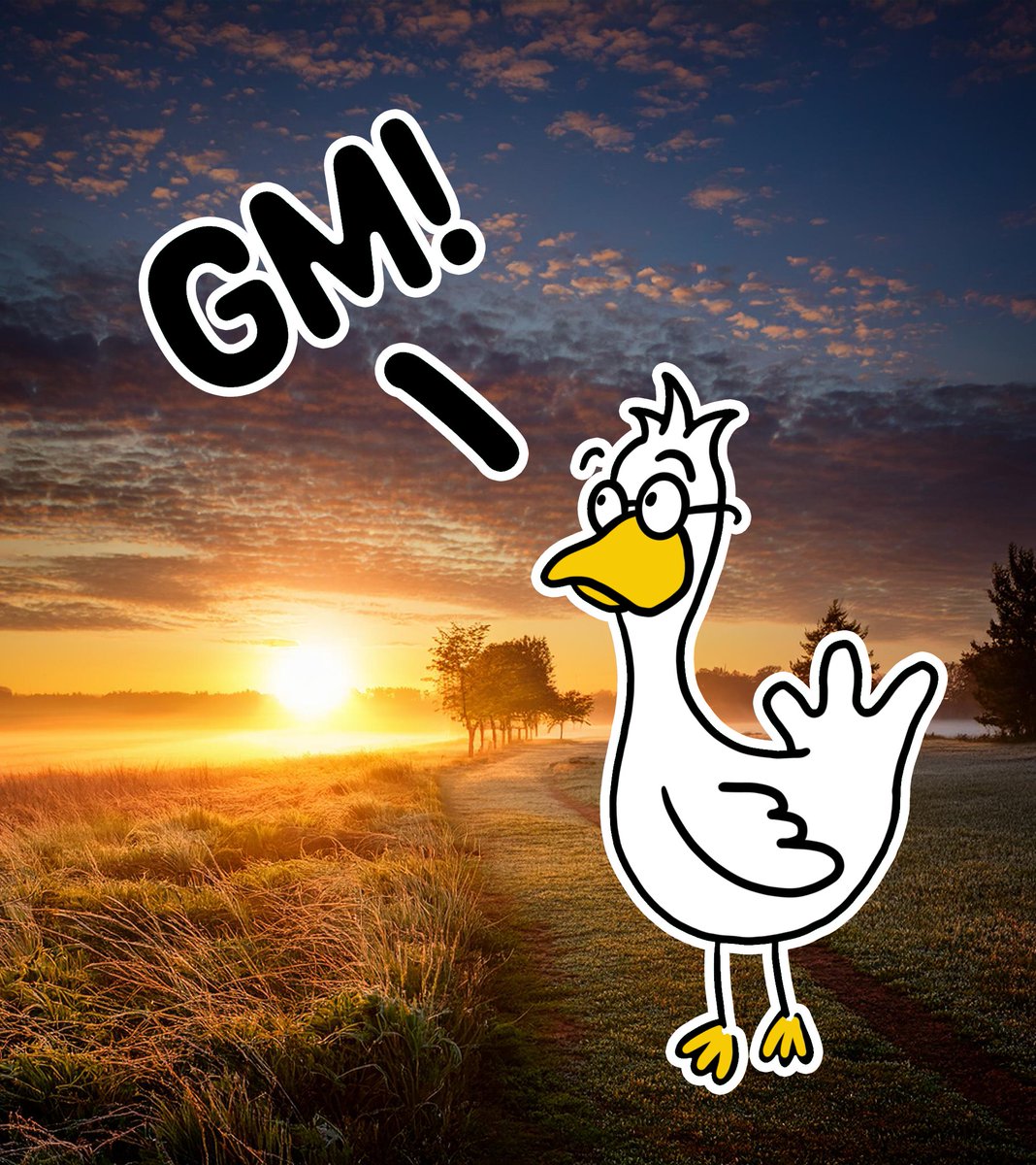 GM have a great day ❤️🦆