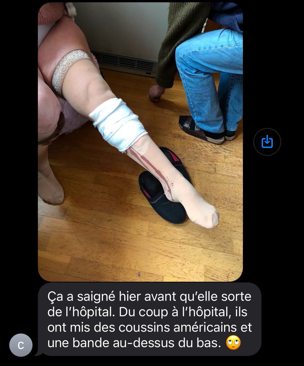 Nick Ardipine tweet media