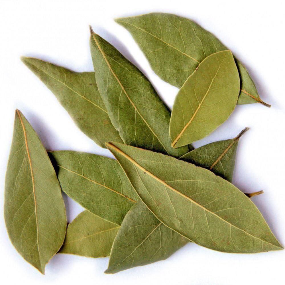 BarbaraOneillAU's tweet photo. 🦴 Remove Salts from Your Joints Naturally! 🌿

Over time, harmful substances build up in the joints, leading to discomfort and stiffness. Luckily, this simple natural remedy can help cleanse and restore mobility!

🌿 Bay Leaf Joint Cleanse Recipe:

🍃 Take 5g of bay leaf
💧 Boil in 300ml water for 5 minutes
♨️ Pour into a thermos and let it steep for 3-4 hours
🥄 Strain and drink within 12 hours

💡 Why This Works?

✅ Helps remove salt buildup from joints
✅ Reduces stiffness & discomfort
✅ Supports joint mobility & flexibility

For best results, repeat periodically and combine with a healthy, anti-inflammatory diet! 🌱