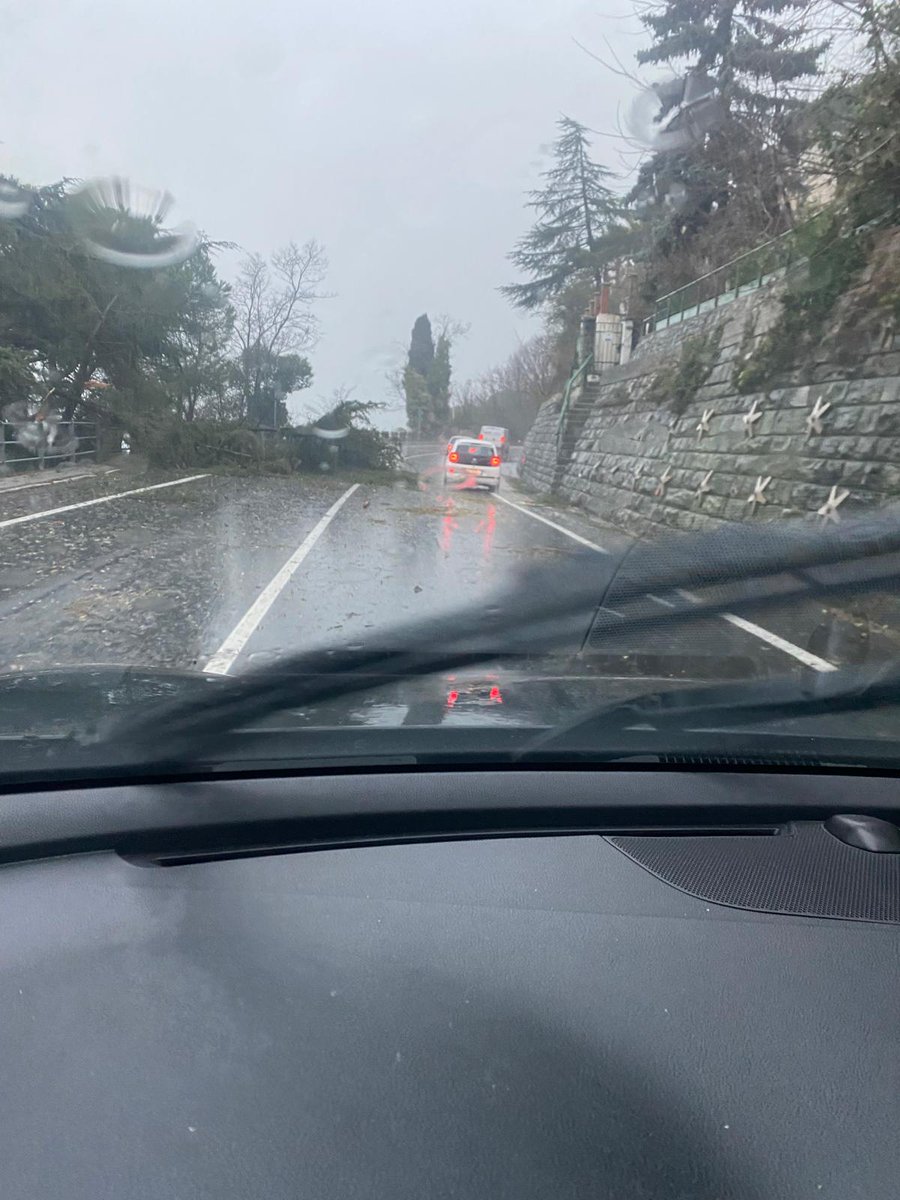 FabioGentile7's tweet photo. strada costiera #Trieste #Duino #Monfalcone #pericolo con diversi alberi caduti sulla strada @Emergenza24 #maltempo e per fortuna che la provincia di Trieste non aveva #allerta nemmeno #gialla come le altre province #friuliveneziagiulia https://t.co/mpZcW8mwtB
