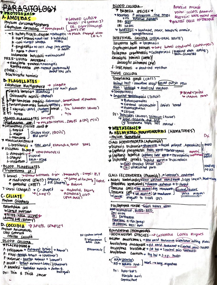 gwynethjwl's tweet photo. 📍 Summarized Parasitology 

This was how I studied parasitology during the board review ✨ squeezed them all together in 3 and a half page para maalala ang context clues for each parasite 😆 (

#MTLE2025 #MTLE https://t.co/EKQ0ZGjiqH
