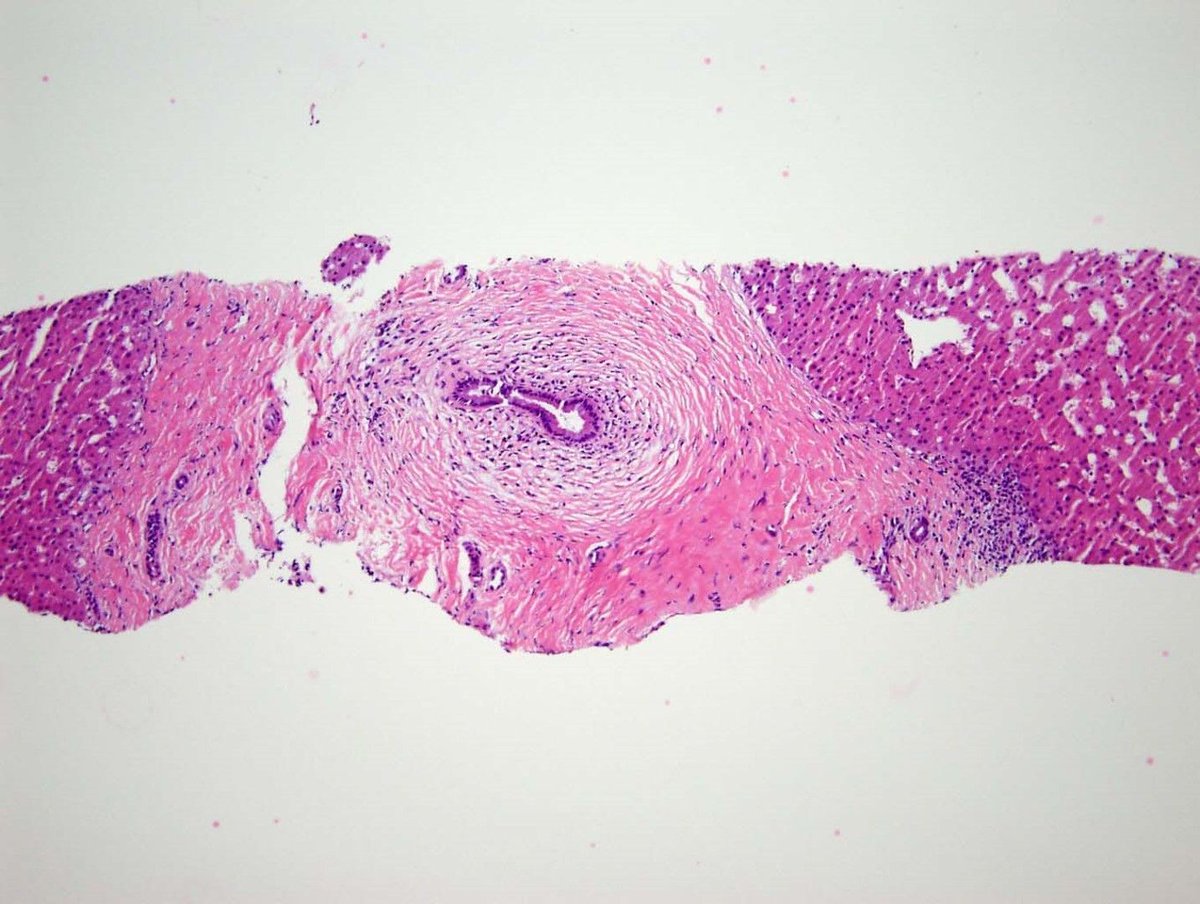 Megan Smith tweet media