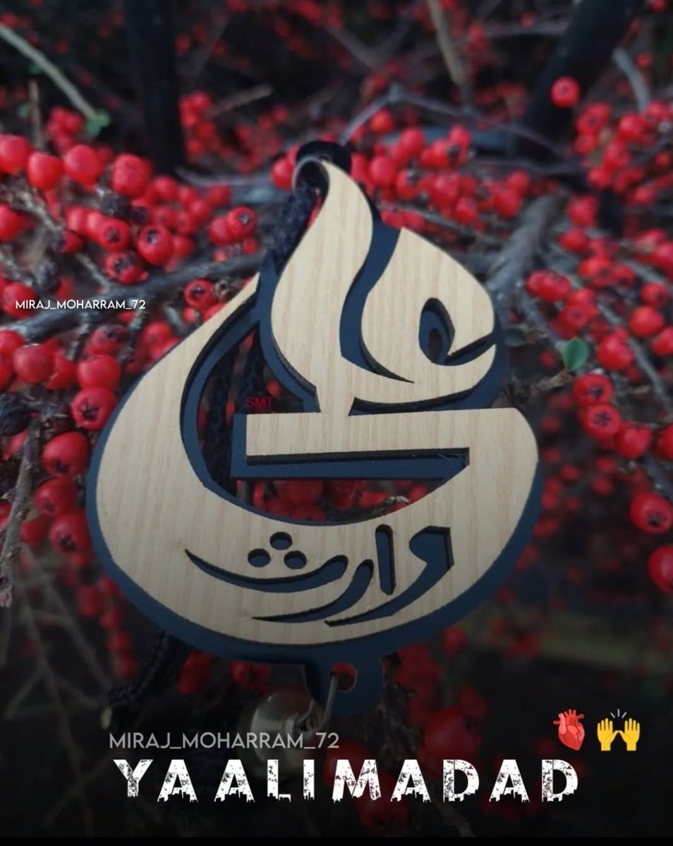 dimahzehra's tweet photo. زہرا (س)کی مصیبت کا تمہیں واسطہ علی
مشکل کو میری حل کرو مُشکِل کشاء علی

(مشکل کُشا مولا علی علیہ السلام) https://t.co/DWB53svuh8