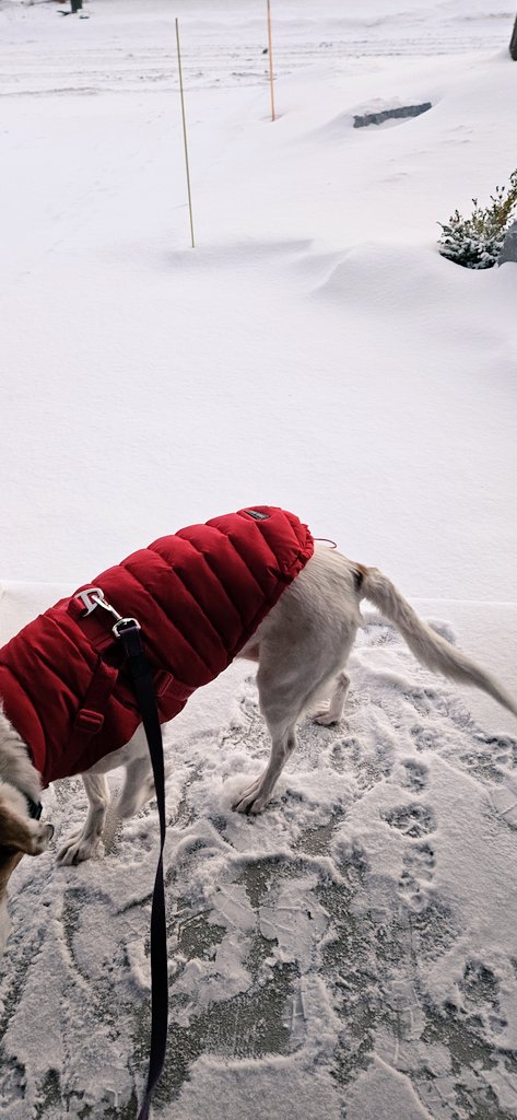 Yeah... nope! ❄️🥶