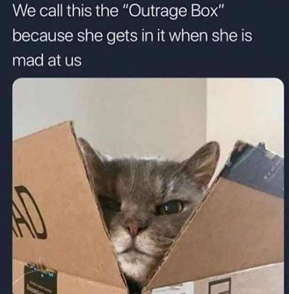 WholesomeMeme's tweet photo. https://t.co/uNajD5dtCB