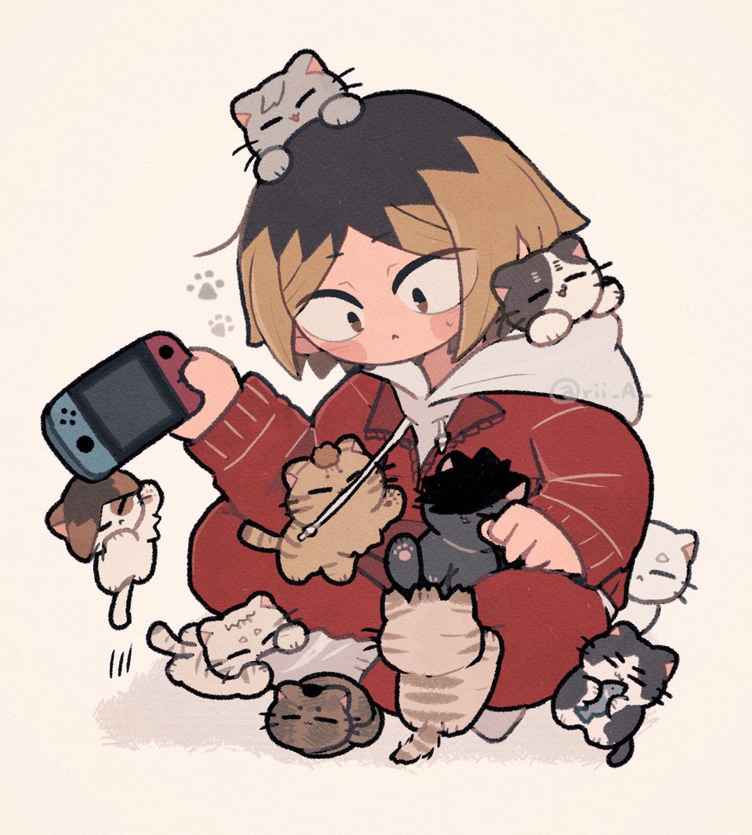 ねこまみれ🐈🐾