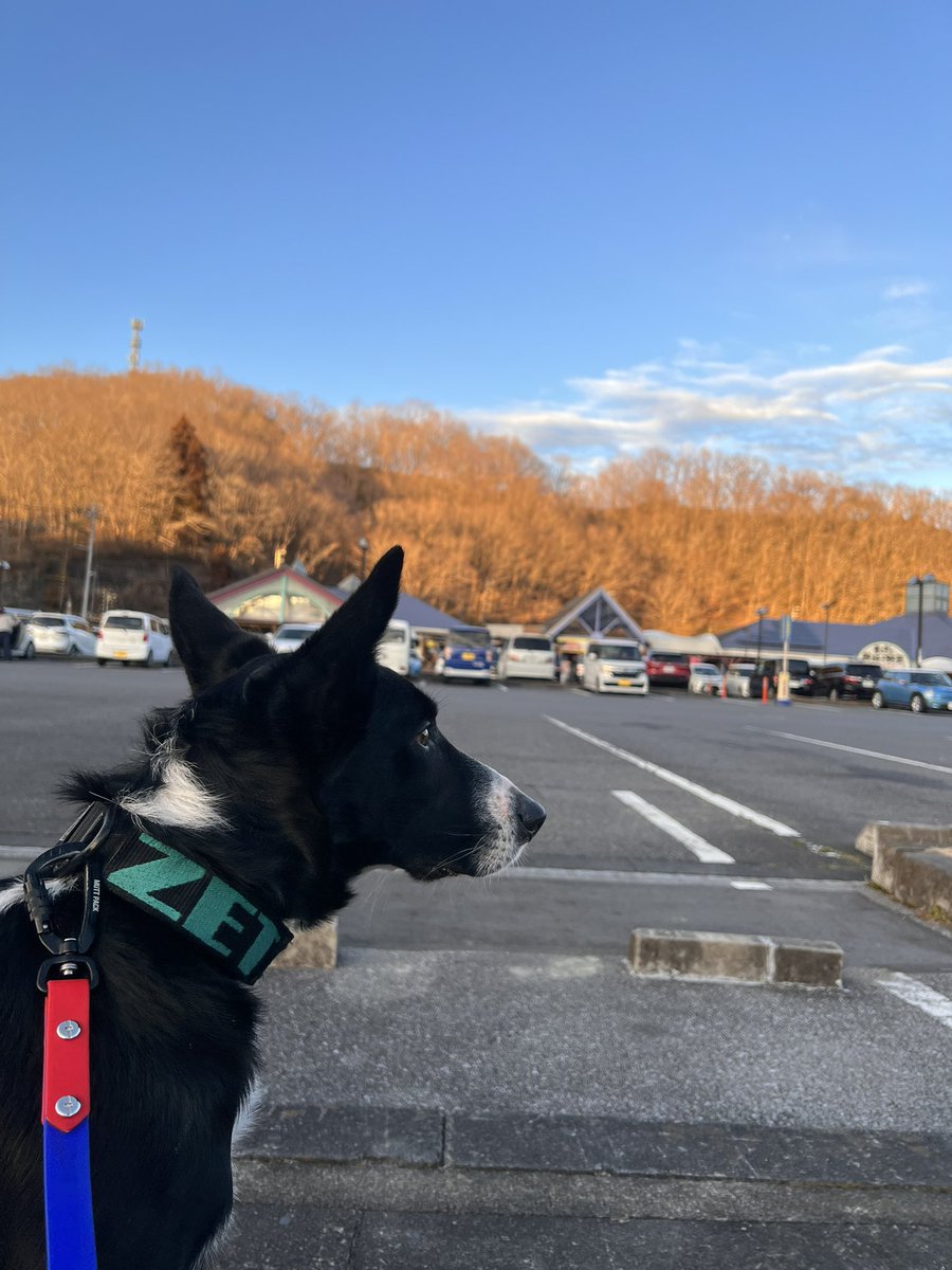 今年初遠征〜(隣の県)