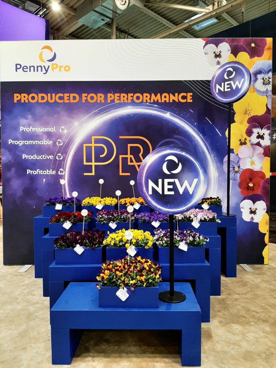 Syngenta Flowers tweet media