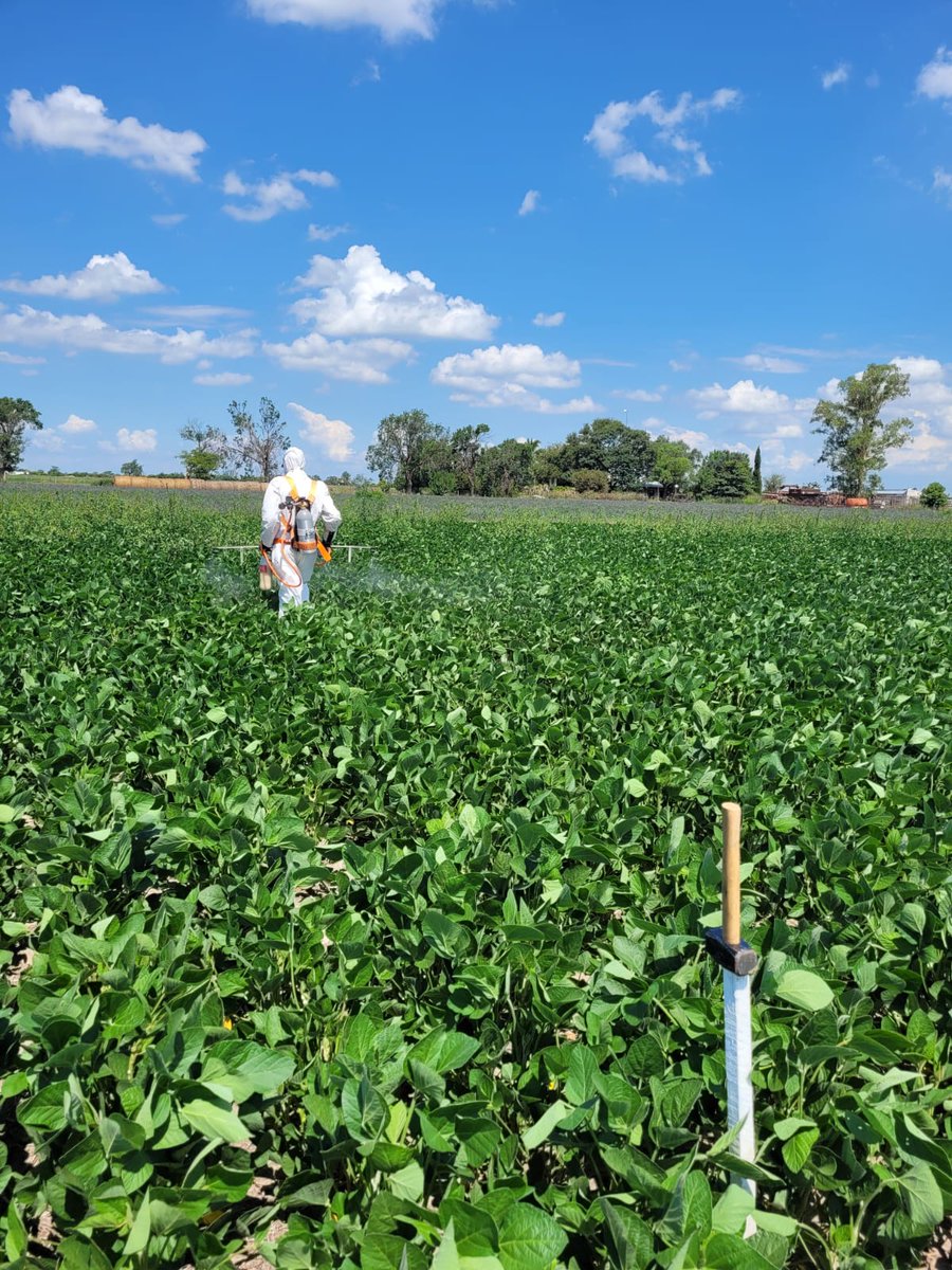 Juan Manuel Picco tweet media