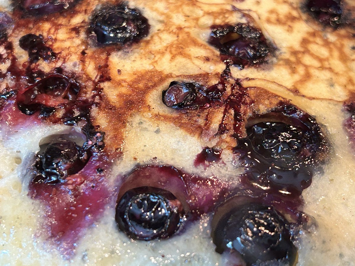 Happy National Blueberry Pancake Day in the Pinelands! New Jersey is among the nation's top growers of blueberries, with most of the production occurring in the million-acre Pinelands Area. These pancakes were made from scratch with Pinelands #blueberries.

👨‍🍳: Paul Leakan, NJPC