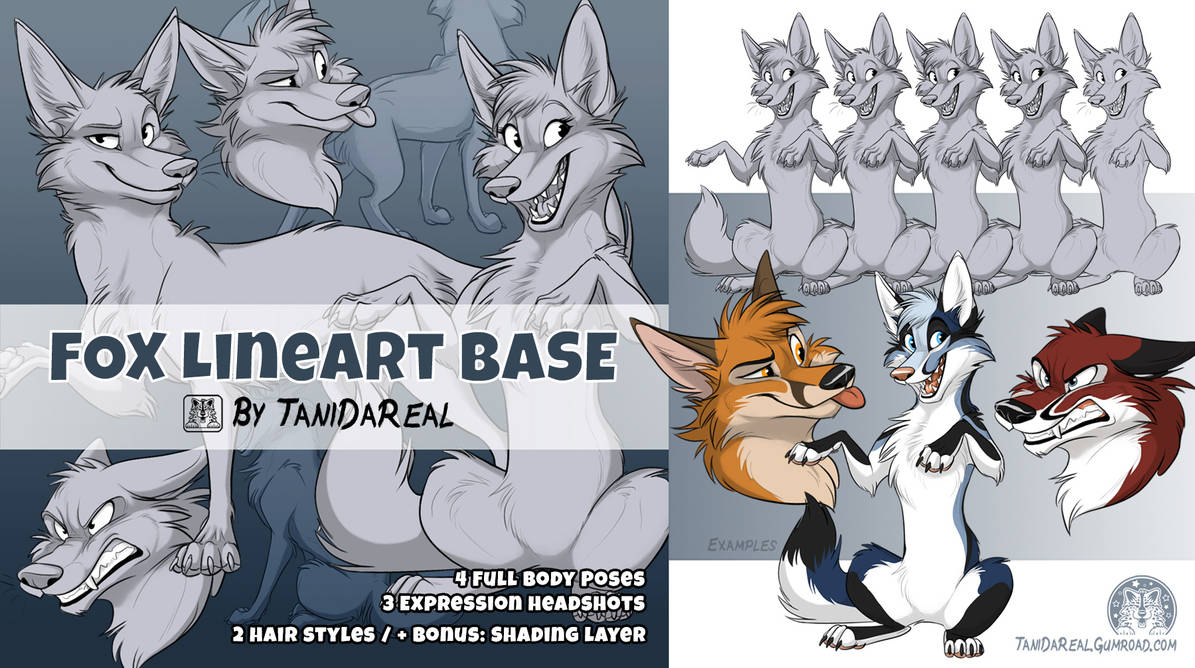 Need a new ref sheet? My Fox lineart base is available on Gumroad. Get the Photoshop file with layers, modifications, hair styles etc. to create your own character sheet. tanidareal.gumroad.com/l/foxlineartba…