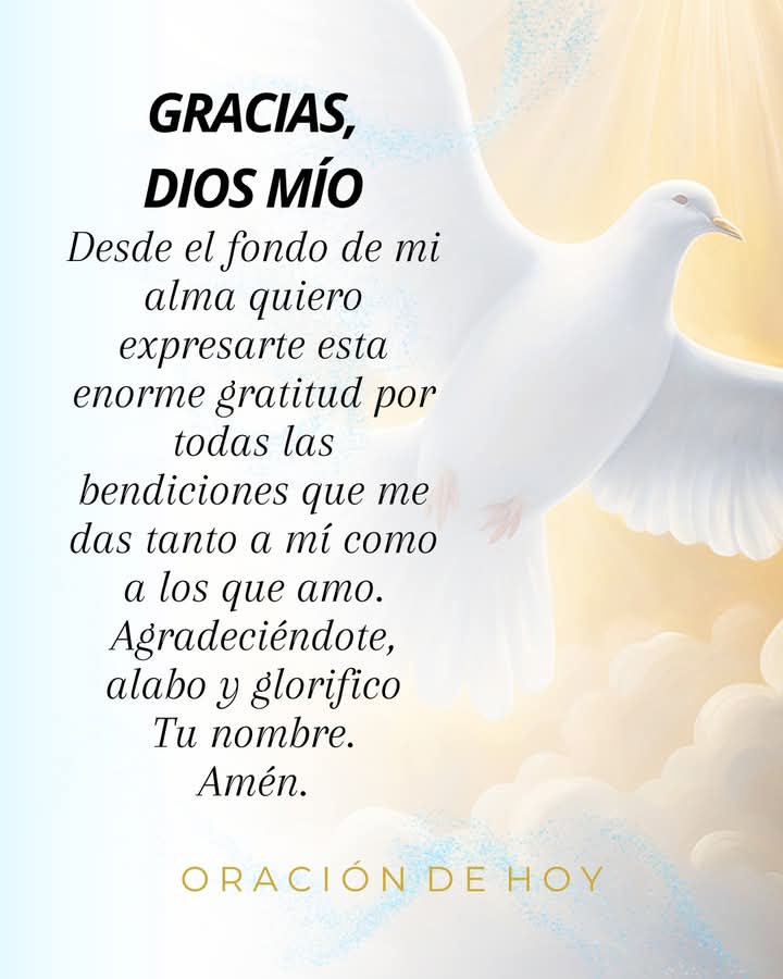 JuntosRecemos's tweet photo. https://t.co/36qoKywVWm