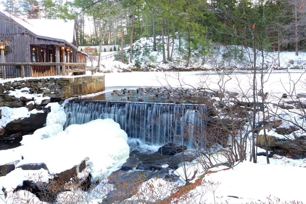 VisitingNewEngland - Eric's Stories of New England (@newenglandinfo) on Twitter photo Winter at the 1761 Old Mill Restaurant in Westminster, Mass.
#waterfall #oldmillwestminster @naturefineart <a href="/VisitMA/">Visit Massachusetts</a> <a href="/Frommers/">Frommer's</a> <a href="/NELivingUS/">New England Living Magazine</a> <a href="/newengland/">newengland</a> Winter at the 1761 Old Mill Restaurant in Westminster, Mass.
#waterfall #oldmillwestminster @naturefineart <a href="/VisitMA/">Visit Massachusetts</a> <a href="/Frommers/">Frommer's</a> <a href="/NELivingUS/">New England Living Magazine</a> <a href="/newengland/">newengland</a>