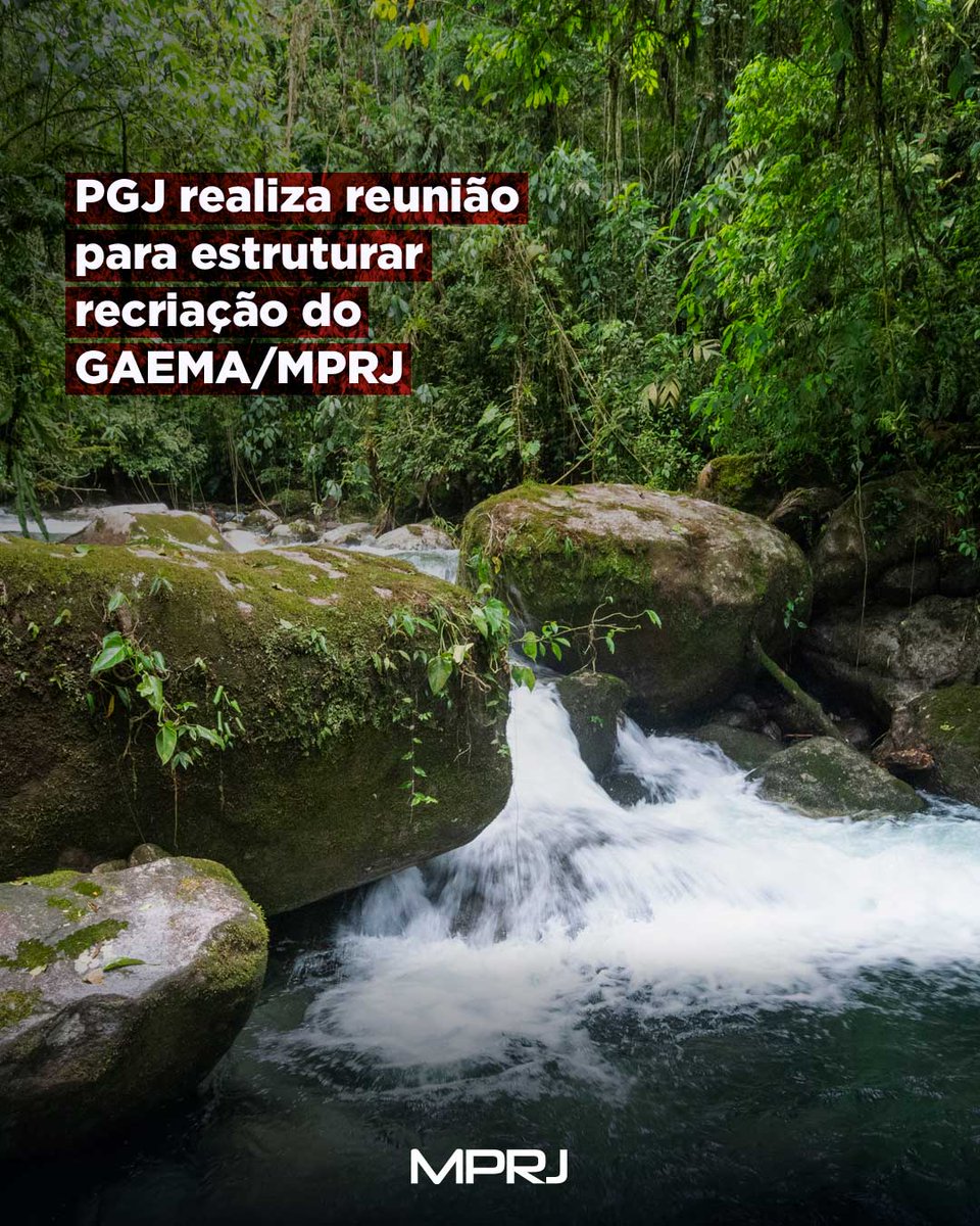MP_RJ's tweet photo. PGJ realiza reunião para estruturar recriação do GAEMA/MPRJ.

Saiba mais: https://t.co/Jj7ghfSYzM

#ministeriopublico #rj #MPRJ #Gaema #meioambiente
#JurisTT https://t.co/DagaOuK92X